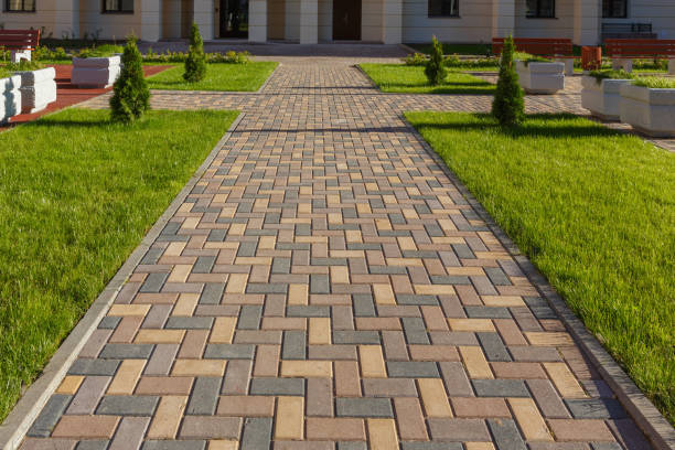 Best Driveway Repair Near Me  in Livingston, TN