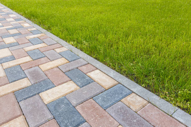 Best Professional Driveway Pavers  in Livingston, TN